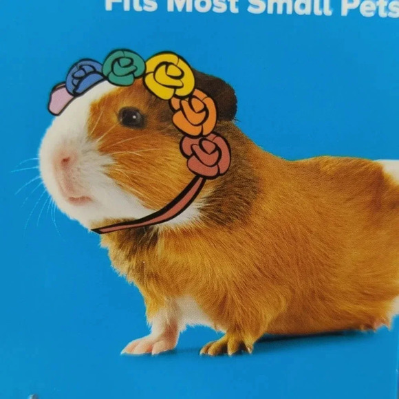 Pride Themed Small Animal Accessories & Cupcake Shaped Chew Toy - Picture 4 of 8